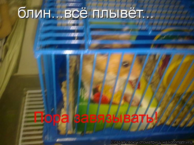 блин...всё плывёт... Пора завязывать!... Котоматрица: блин...всё плывёт... Пора завязывать!