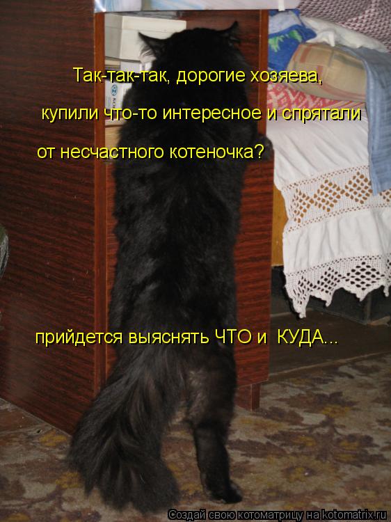 Так-так-так, дорогие хозяева, купили что-то интересное и спрятали от несчастного котеночка? прийдетс... Котоматрица: Так-так-так, дорогие хозяева, купили что-то интересное и спрятали от несчастного котеночка? прийдется выяснять ЧТО и КУДА...
