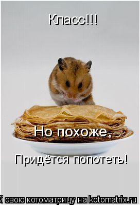 Класс!!! Но похоже, Придётся попотеть!... Котоматрица: Класс!!! Но похоже, Придётся попотеть!