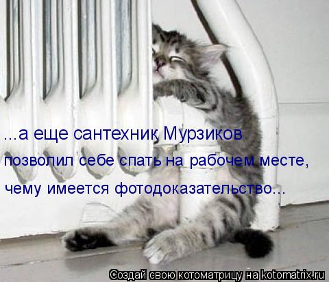 ...а еще сантехник Мурзиков позволил себе спать на рабочем месте, чему имеется фотодоказательство...... Котоматрица: ...а еще сантехник Мурзиков позволил себе спать на рабочем месте, чему имеется фотодоказательство...