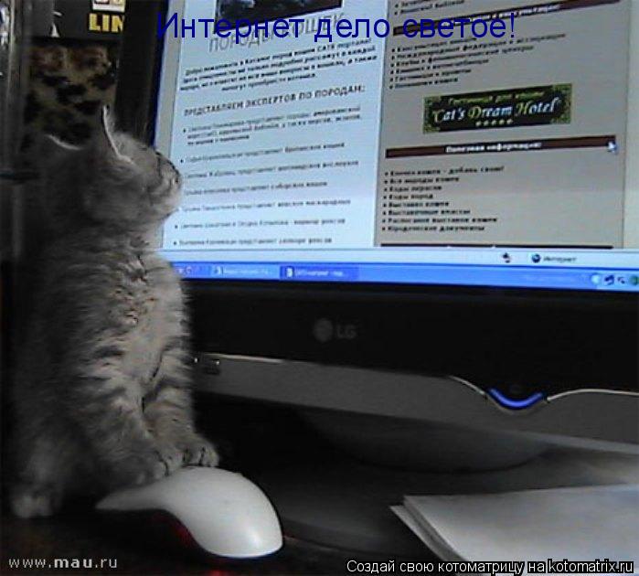 Интернет дело светое!... Котоматрица: Интернет дело светое!