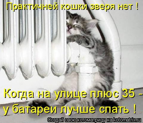 Когда на улице плюс 35 - у батареи лучше спать ! Практичней кошки зверя нет !... Котоматрица: Когда на улице плюс 35 - у батареи лучше спать ! Практичней кошки зверя нет !