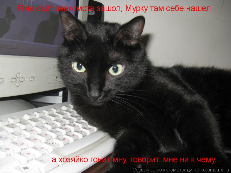 Я на сайт знакомств зашол, Мурку там себе нашел а хозяйко гонит мну..говорит..мне ни к чему...... Котоматрица: Я на сайт знакомств зашол, Мурку там себе нашел а хозяйко гонит мну..говорит..мне ни к чему...