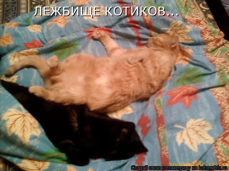 ЛЕЖБИЩЕ КОТИКОВ...... Котоматрица: ЛЕЖБИЩЕ КОТИКОВ...