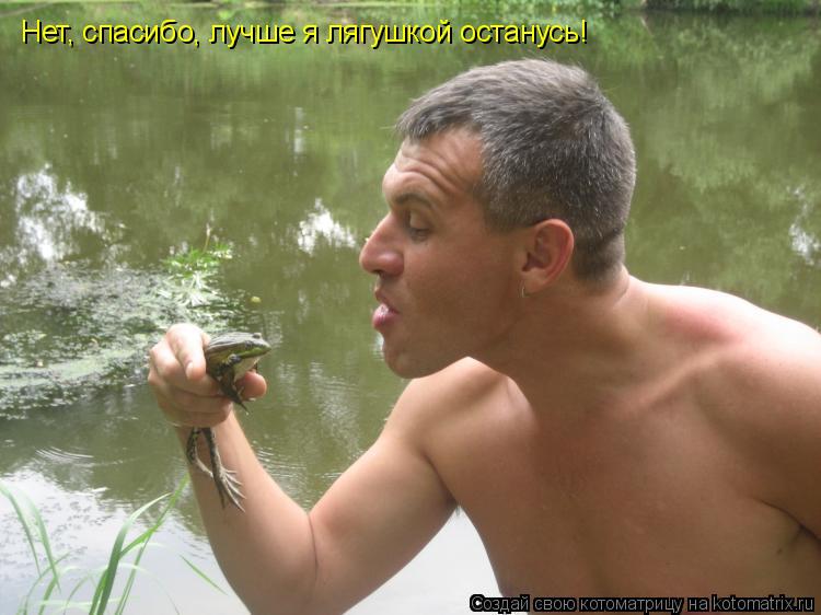 Нет, спасибо, лучше я лягушкой останусь!... Котоматрица: Нет, спасибо, лучше я лягушкой останусь!
