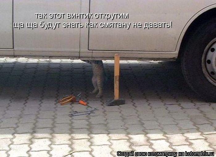 так этот винтик открутим ща ща будут знать как смятану не давать!... Котоматрица: так этот винтик открутим ща ща будут знать как смятану не давать!
