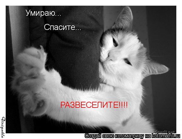 Умираю... Спасите... РАЗВЕСЕЛИТЕ!!!!... Котоматрица: Умираю... Спасите... РАЗВЕСЕЛИТЕ!!!!
