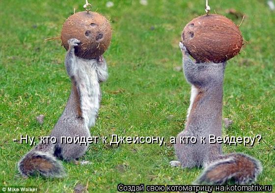 - Ну, кто пойдет к Джейсону, а кто к Вейдеру?... Котоматрица: - Ну, кто пойдет к Джейсону, а кто к Вейдеру?