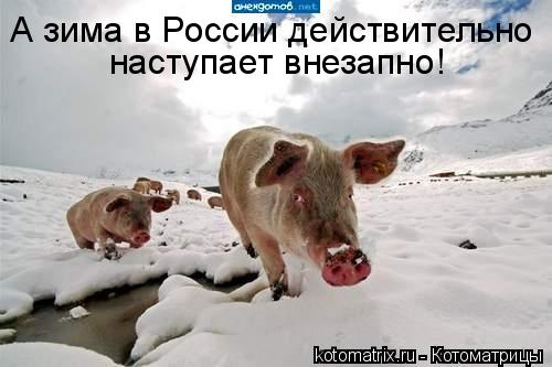 Котоматрица: А зима в России действительно наступает внезапно!