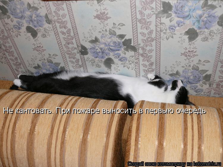 Не кантовать. При пожаре выносить в первыю очередь... Котоматрица: Не кантовать. При пожаре выносить в первыю очередь