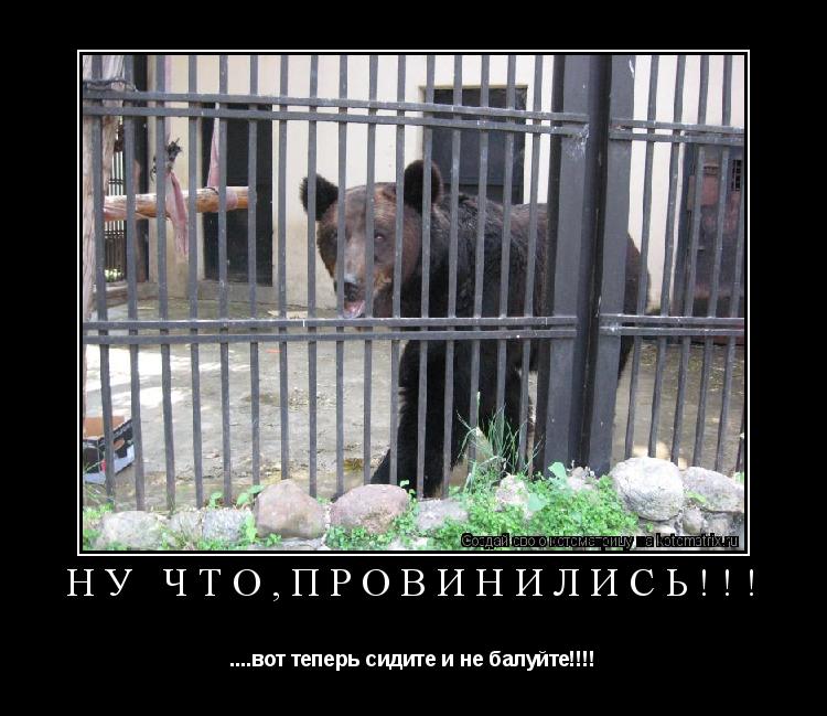 Ну что,провинились!!! ....вот теперь сидите и не балуйте!!!!... Котоматрица: Ну что,провинились!!! ....вот теперь сидите и не балуйте!!!!