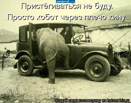 Пристёгиваться не буду. Просто хобот через плечо кину... Котоматрица: Пристёгиваться не буду. Просто хобот через плечо кину