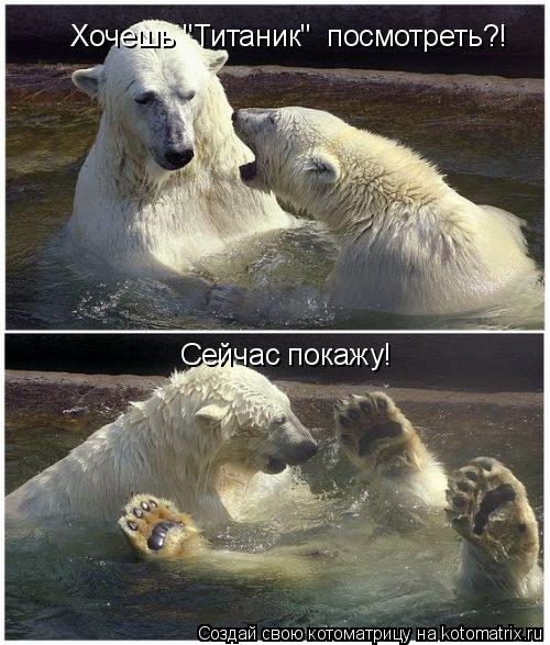 Хочешь "Титаник" посмотреть?! Сейчас покажу!... Котоматрица: Хочешь "Титаник" посмотреть?! Сейчас покажу!