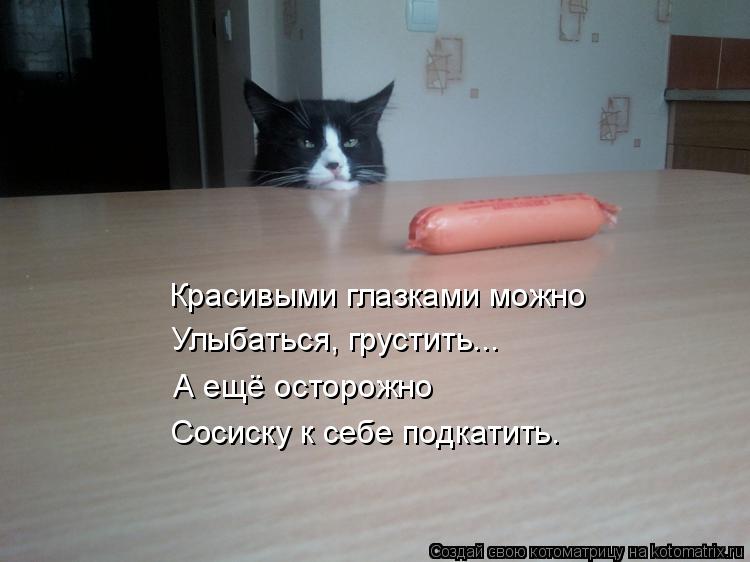 Красивыми глазками можно Улыбаться, грустить... А ещё осторожно Сосиску к себе подкатить.... Котоматрица: Красивыми глазками можно Улыбаться, грустить... А ещё осторожно Сосиску к себе подкатить.