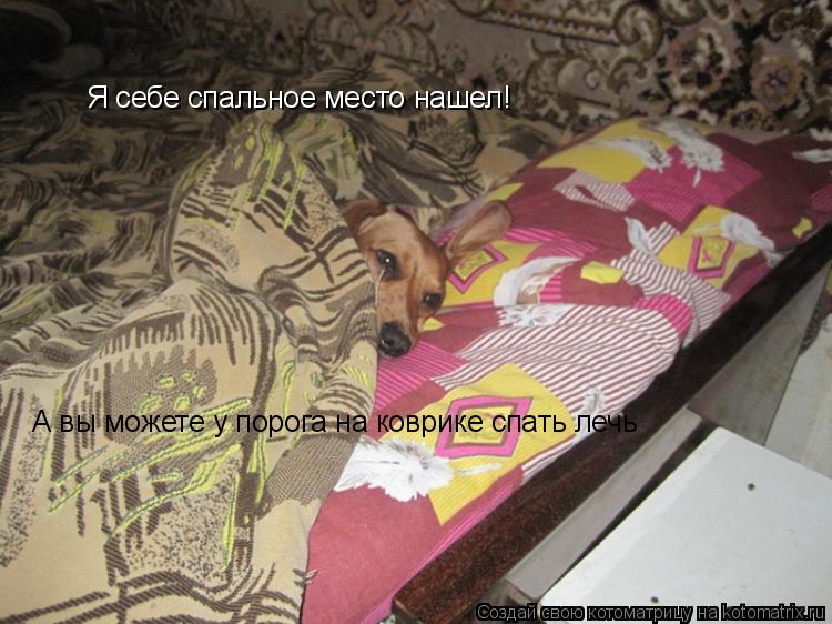 Я себе спальное место нашел! А вы можете у порога на коврике спать лечь... Котоматрица: Я себе спальное место нашел! А вы можете у порога на коврике спать лечь