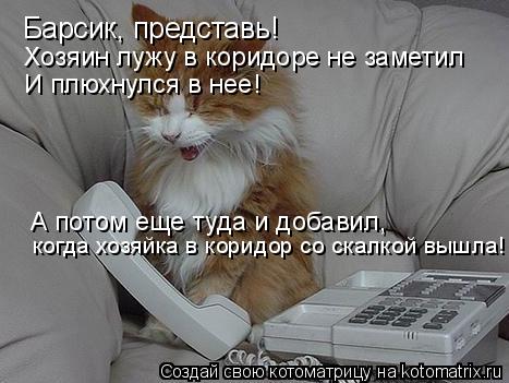 Барсик, представь! Хозяин лужу в коридоре не заметил И плюхнулся в нее! А потом еще туда и добавил, к... Котоматрица: Барсик, представь! Хозяин лужу в коридоре не заметил И плюхнулся в нее! А потом еще туда и добавил, когда хозяйка в коридор со скалкой вышла!