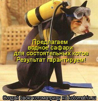 для состоятельных котов водное сафари Предлагаем Результат гарантируем!... Котоматрица: для состоятельных котов водное сафари Предлагаем Результат гарантируем!