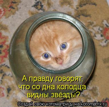 А правду говорят, что со дна колодца видны звёзды?... Котоматрица: А правду говорят, что со дна колодца видны звёзды?