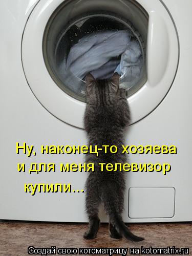 Ну, наконец-то хозяева и для меня телевизор купили...... Котоматрица: Ну, наконец-то хозяева и для меня телевизор купили...