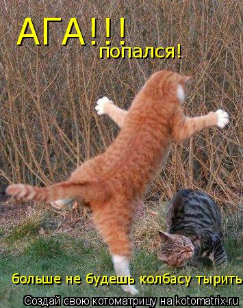 АГА!!! попался! больше не будешь колбасу тырить... Котоматрица: АГА!!! попался! больше не будешь колбасу тырить