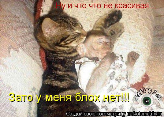 Ну и что что не красивая... Зато у меня блох нет!!!... Котоматрица: Ну и что что не красивая... Зато у меня блох нет!!!