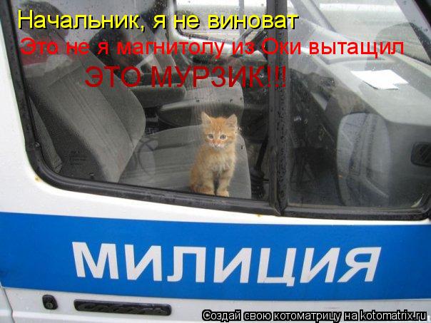 Начальник, я не виноват Это не я магнитолу из Оки вытащил ЭТО МУРЗИК!!!... Котоматрица: Начальник, я не виноват Это не я магнитолу из Оки вытащил ЭТО МУРЗИК!!!