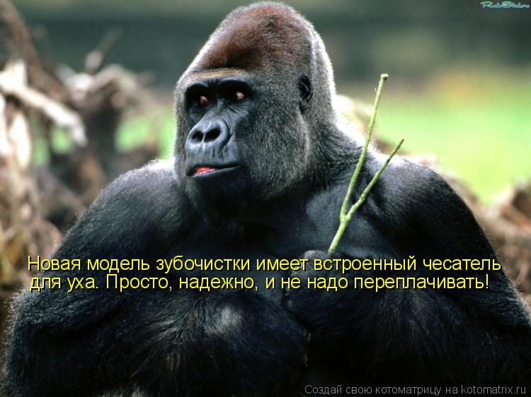 Новая модель зубочистки имеет встроенный чесатель для уха. Просто, надежно, и не надо переплачивать!... Котоматрица: Новая модель зубочистки имеет встроенный чесатель для уха. Просто, надежно, и не надо переплачивать!