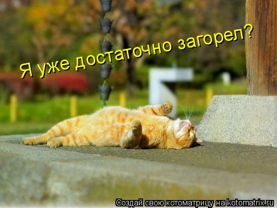 Я уже достаточно загорел?... Котоматрица: Я уже достаточно загорел?