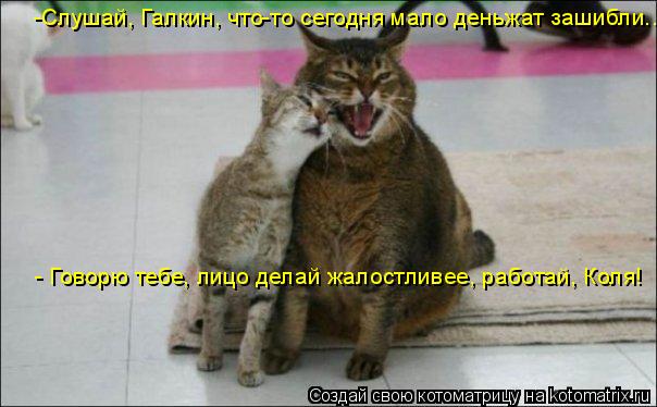 -Слушай, Галкин, что-то сегодня мало деньжат зашибли... - Говорю тебе, лицо делай жалостливее, работа... Котоматрица: -Слушай, Галкин, что-то сегодня мало деньжат зашибли... - Говорю тебе, лицо делай жалостливее, работай, Коля!