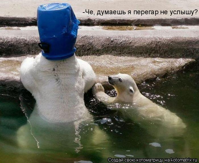 -Че, думаешь я перегар не услышу?!... Котоматрица: -Че, думаешь я перегар не услышу?!