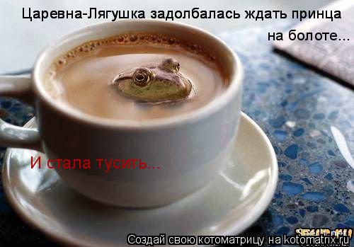 Царевна-Лягушка задолбалась ждать принца Царевна-Лягушка задолбалась ждать принца на болоте... И ст... Котоматрица: Царевна-Лягушка задолбалась ждать принца Царевна-Лягушка задолбалась ждать принца на болоте... И стала тусить...