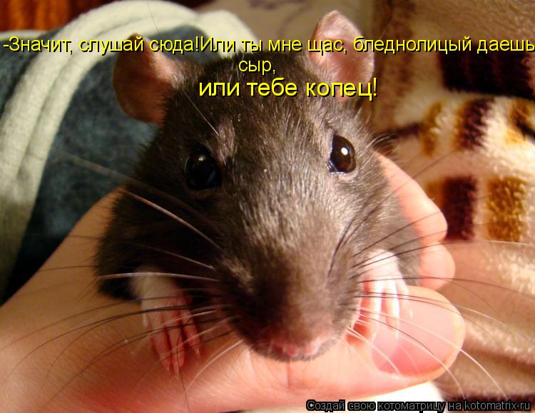 -Значит, слушай сюда!Или ты мне щас, бледнолицый даешь сыр, или тебе копец!... Котоматрица: -Значит, слушай сюда!Или ты мне щас, бледнолицый даешь сыр, или тебе копец!