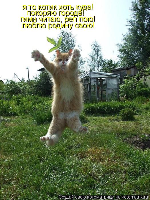 я то котик хоть куда! покоряю города! гимн читаю, реп пою! люблю родину свою!... Котоматрица: я то котик хоть куда! покоряю города! гимн читаю, реп пою! люблю родину свою!