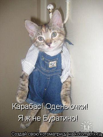 Котоматрица: Карабас! Одень очки! Я ж не Буратино!