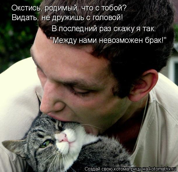 Окстись, родимый, что с тобой? Видать, не дружишь с головой! В последний раз скажу я так: "Между нами... Котоматрица: Окстись, родимый, что с тобой? Видать, не дружишь с головой! В последний раз скажу я так: "Между нами невозможен брак!"