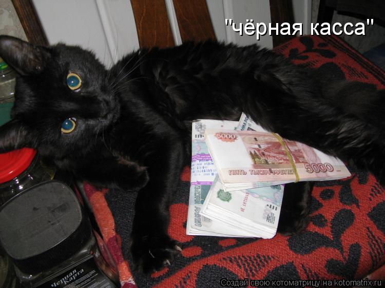 "чёрная касса"... Котоматрица: "чёрная касса"