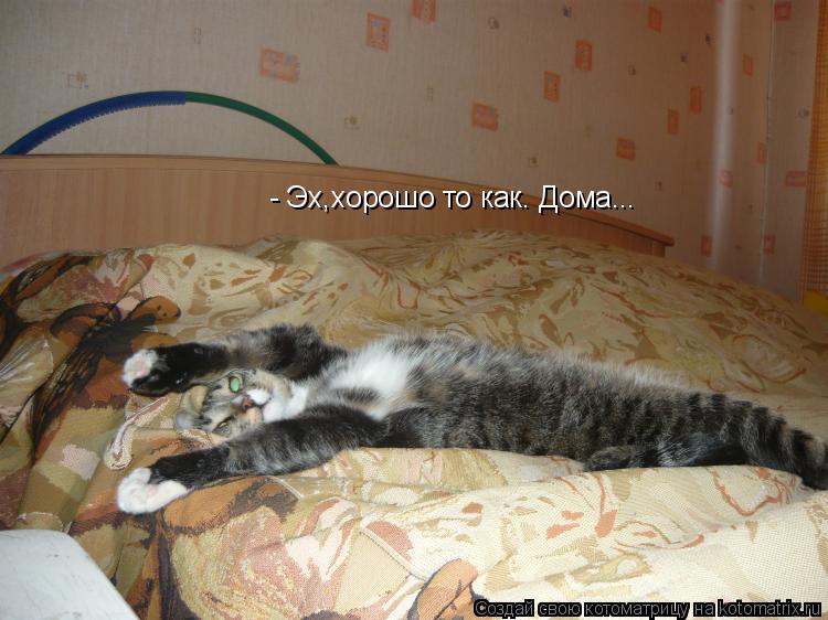 - Эх,хорошо то как. Дома...... Котоматрица: - Эх,хорошо то как. Дома...