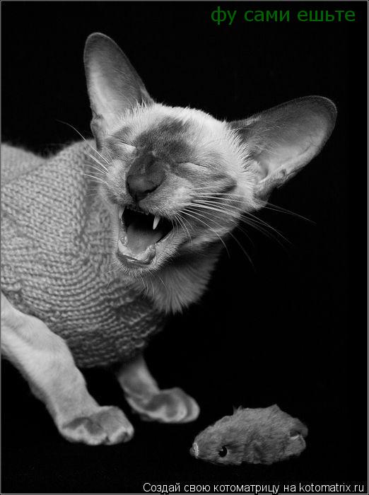 фу сами ешьте... Котоматрица: фу сами ешьте