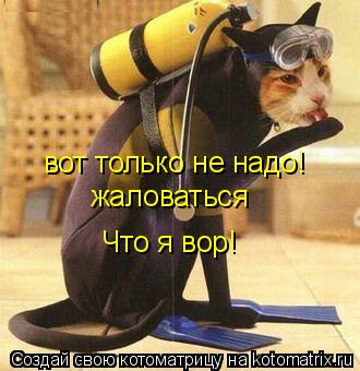 вот только не надо! жаловаться Что я вор!... Котоматрица: вот только не надо! жаловаться Что я вор!