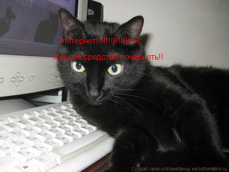 Интернет!!!!!!!!!!!!!!!!!! лучшее средство почернеть!!... Котоматрица: Интернет!!!!!!!!!!!!!!!!!! лучшее средство почернеть!!