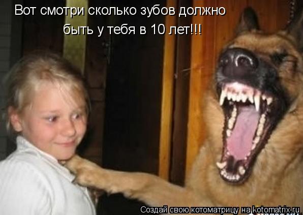 Вот смотри сколько зубов должно быть у тебя в 10 лет!!!... Котоматрица: Вот смотри сколько зубов должно быть у тебя в 10 лет!!!