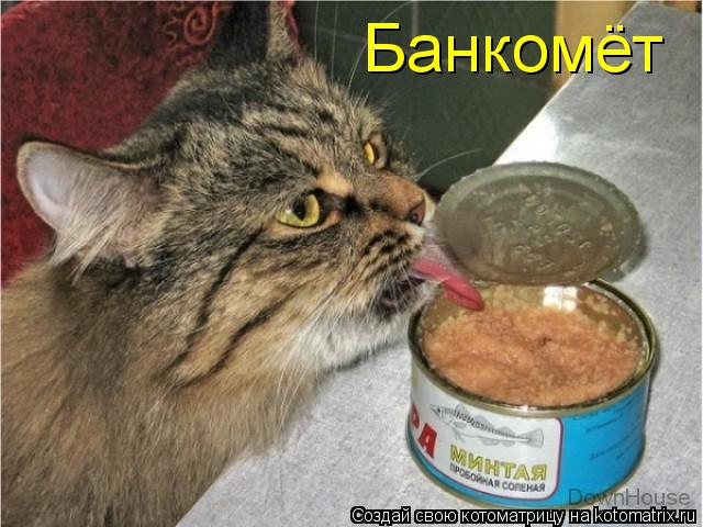 Банкомёт... Котоматрица: Банкомёт
