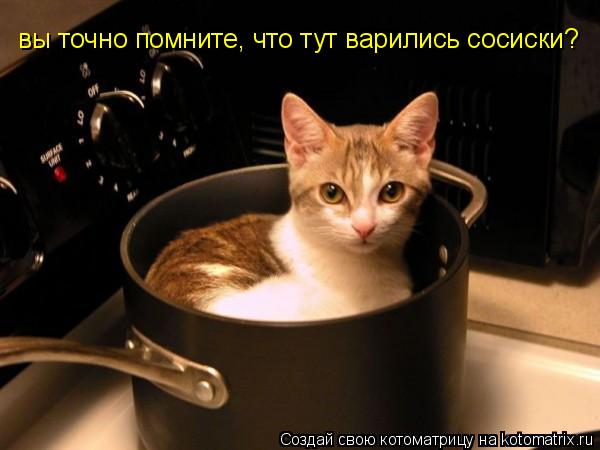 вы точно помните, что тут варились сосиски?... Котоматрица: вы точно помните, что тут варились сосиски?