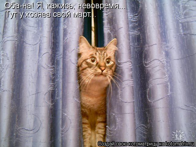 Оба-на! Я, кажись, невовремя... Тут у хозяев свой март...... Котоматрица: Оба-на! Я, кажись, невовремя... Тут у хозяев свой март...