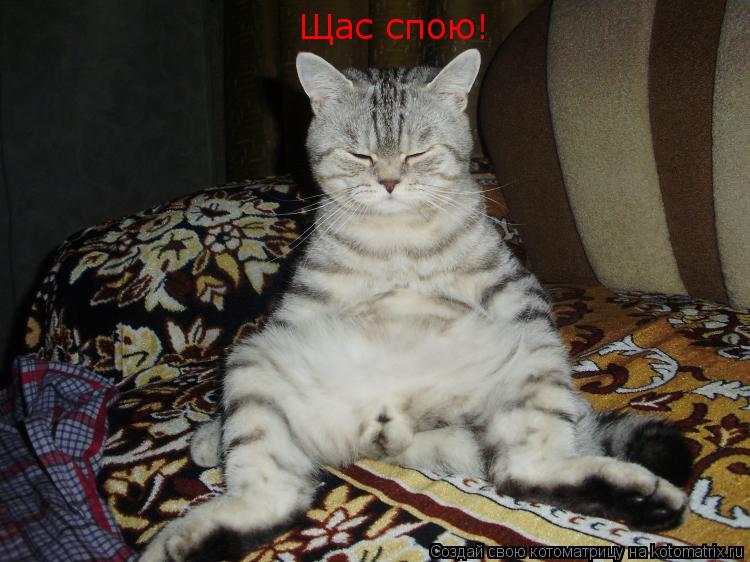 Щас спою!... Котоматрица: Щас спою!