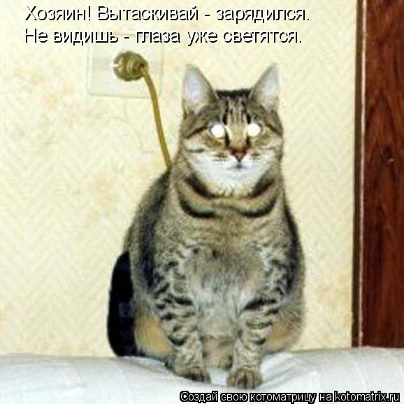 Не видишь - глаза уже светятся. Хозяин! Вытаскивай - зарядился.... Котоматрица: Не видишь - глаза уже светятся. Хозяин! Вытаскивай - зарядился.