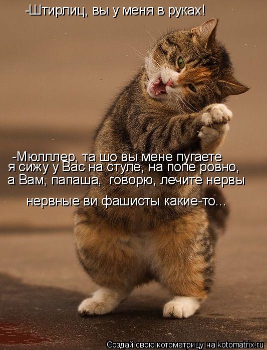 -Штирлиц, вы у меня в руках! -Мюлллер, та шо вы мене пугаете я сижу у Вас на стуле, на попе ровно, а ... Котоматрица: -Штирлиц, вы у меня в руках! -Мюлллер, та шо вы мене пугаете я сижу у Вас на стуле, на попе ровно, а Вам, папаша, говорю, лечите нервы нервные ви