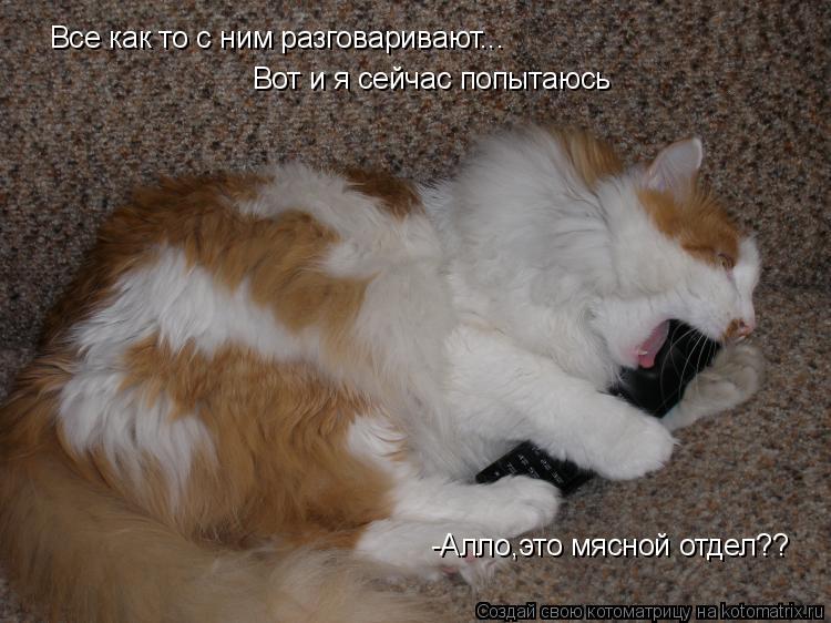 Все как то с ним разговаривают... Вот и я сейчас попытаюсь -Алло,это мясной отдел??... Котоматрица: Все как то с ним разговаривают... Вот и я сейчас попытаюсь -Алло,это мясной отдел??