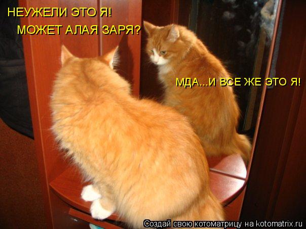 НЕУЖЕЛИ ЭТО Я! МОЖЕТ АЛАЯ ЗАРЯ? МДА...И ВСЕ ЖЕ ЭТО Я! МДА...И ВСЕ ЖЕ ЭТО Я!... Котоматрица: НЕУЖЕЛИ ЭТО Я! МОЖЕТ АЛАЯ ЗАРЯ? МДА...И ВСЕ ЖЕ ЭТО Я! МДА...И ВСЕ ЖЕ ЭТО Я!