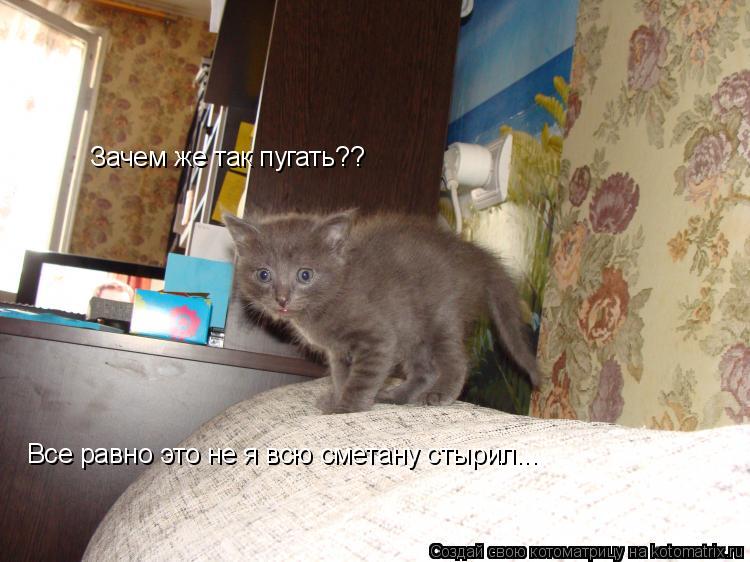 Зачем же так пугать?? Все равно это не я всю сметану стырил...... Котоматрица: Зачем же так пугать?? Все равно это не я всю сметану стырил...